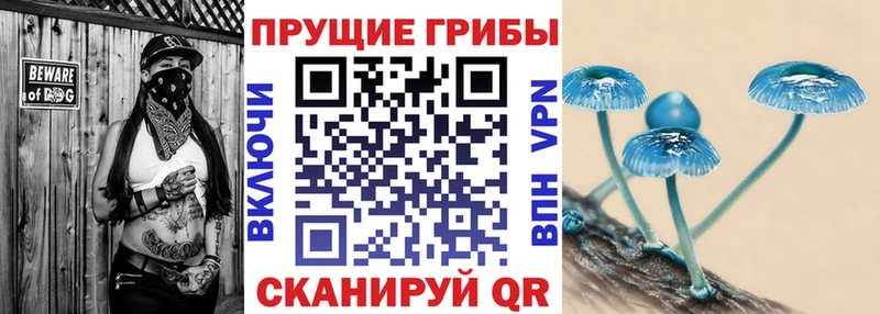 Галлюциногенные грибы Cubensis  Духовщина 